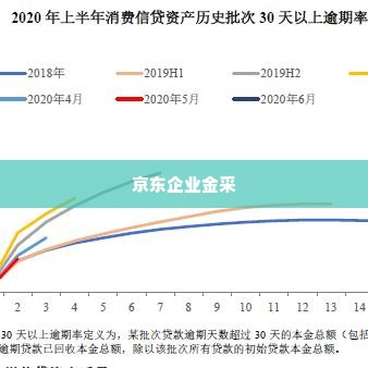 武汉京东企业金采套出来多久到账,武汉京东企业金采套出来多久到账？