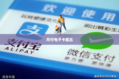 美团月付电子卡套出来,美团月付电子卡套出来