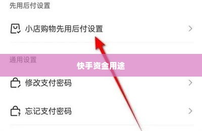 快手先用后付怎么样套出来到微信里呢,快手先用后付的变现策略，从快手到微信的资金流转
