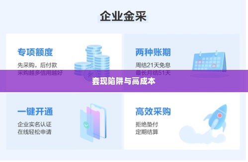 京东企业金采额度怎么套出来点位那么高,揭秘京东企业金采额度套现的陷阱与高成本
