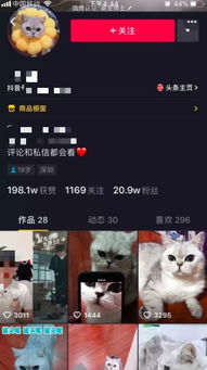 把抖音月付一百套出来,抖音月付一百套出来的秘密
