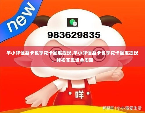 羊小咩便荔卡包享花卡额度提现,羊小咩便荔卡包享花卡额度提现，轻松实现资金周转
