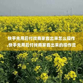 快手先用后付找商家套出来怎么操作,快手先用后付找商家套出来的操作流程与风险管理