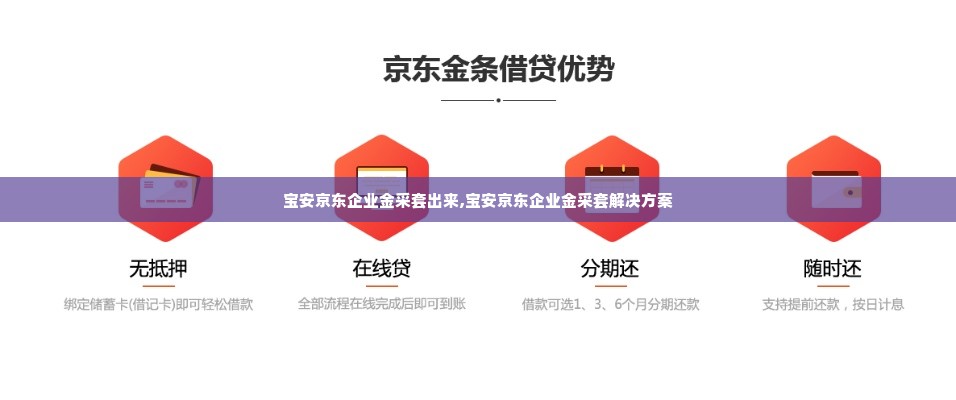 宝安京东企业金采套出来,宝安京东企业金采套解决方案