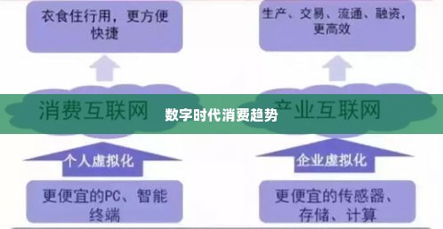 羊小咩套现500,羊小咩套现500元，数字时代的消费新趋势