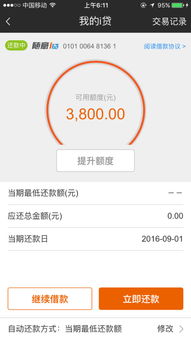 微店放心花额度套出来是什么,微店放心花额度套出来，安全便捷，轻松应对财务危机