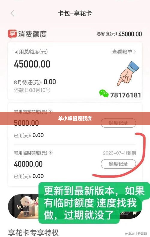 羊小咩给额度能提现吗,羊小咩的额度提现之道，安全与便捷的权衡