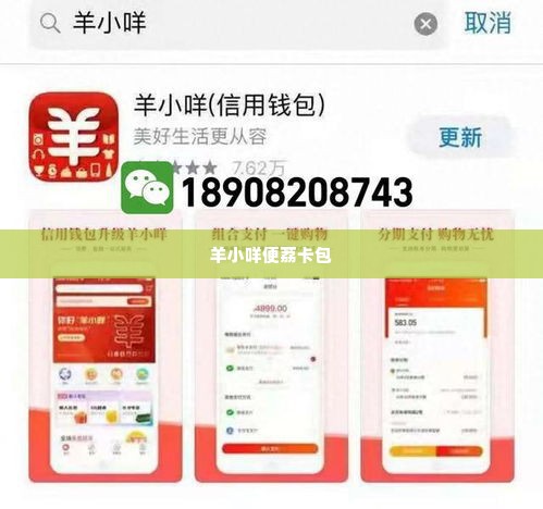 羊小咩便荔卡包消费额度怎么提现,羊小咩便荔卡包消费额度提现指南
