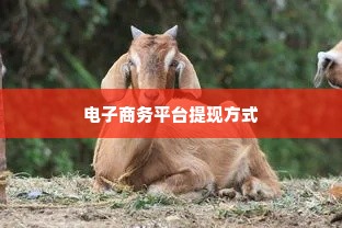 羊小咩便荔卡包提现手续费,羊小咩便荔卡包提现手续费解析