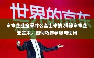 京东企业金采咋么套出来的,揭秘京东企业金采，如何巧妙获取与使用
