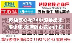 微店放心花24小时套出来多少钱,微店放心花24小时套现服务介绍与分析