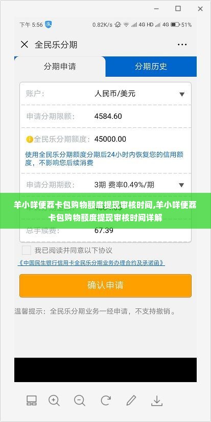 羊小咩便荔卡包购物额度提现审核时间,羊小咩便荔卡包购物额度提现审核时间详解