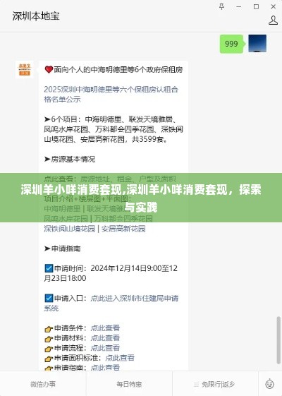 深圳羊小咩消费套现,深圳羊小咩消费套现，探索与实践