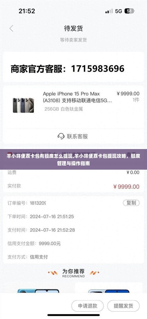 羊小咩便荔卡包有额度怎么提现,羊小咩便荔卡包提现攻略，额度管理与操作指南