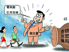 羊小咩套现分几期,羊小咩套现分几期，解密消费金融的秘密武器