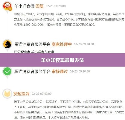 羊小咩套现最新办法,羊小咩套现最新办法