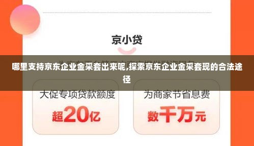 哪里支持京东企业金采套出来呢,探索京东企业金采套现的合法途径