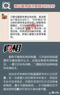 微信分付团购套出来是真的吗,微信分付团购套现的真相与风险