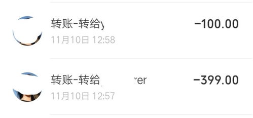 怎么添加抖音月付套出来小二,掌握抖音月付套现技巧，小二带你轻松实现资金周转