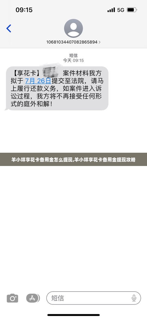 羊小咩享花卡备用金怎么提现,羊小咩享花卡备用金提现攻略