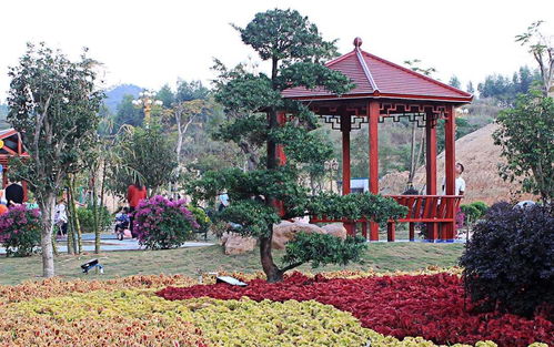 济南微店放心花套出来,济南微店放心花套出来——城市绿意与生活美学的完美融合