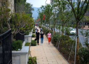 济南微店放心花套出来,济南微店放心花套出来——城市绿意与生活美学的完美融合