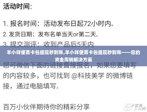 羊小咩便荔卡包提现秒到账,羊小咩便荔卡包提现秒到账——您的资金周转解决方案