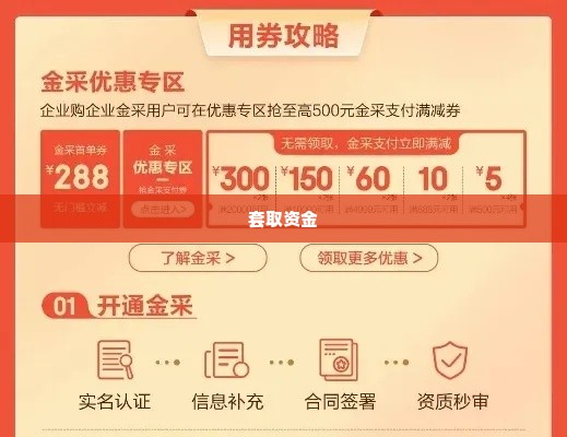 京东企业金采如何套出来,京东企业金采，揭秘如何合法高效地套取资金