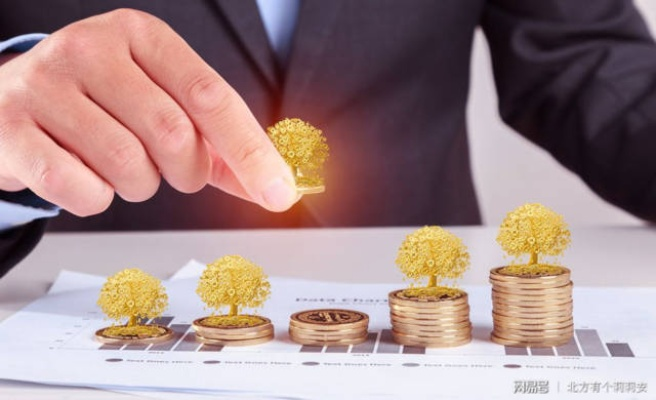 京东企业金采如何套出来,京东企业金采，揭秘如何合法高效地套取资金