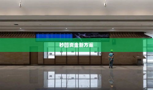 教你美团月付套出来秒回,揭秘美团月付套现技巧，秒回资金新方案