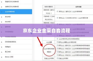 京东企业金采自己套出来怎么操作,京东企业金采自套流程详解