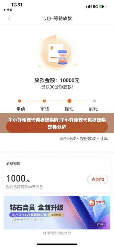 羊小咩便荔卡包提现稳吗,羊小咩便荔卡包提现稳定性分析