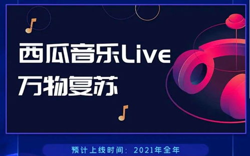 西安抖音月付套出来,西安抖音月付套出来——探索数字时代的消费新趋势
