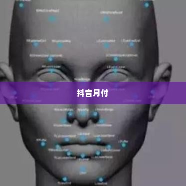 抖音月付套出来刷脸吗,抖音月付套出来刷脸吗？揭秘背后的真相