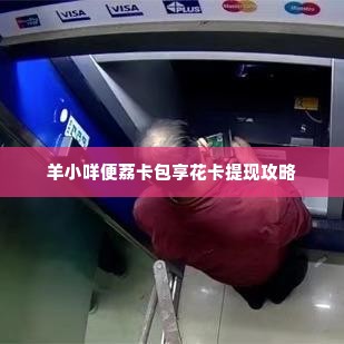 羊小咩便荔卡包享花卡提现几个点,羊小咩便荔卡包享花卡提现攻略，轻松掌握提点技巧，享受便捷生活