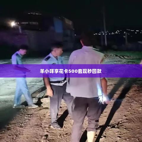 羊小咩享花卡500套现秒回款,羊小咩享花卡500套现秒回款——现代消费者金融创新的典范