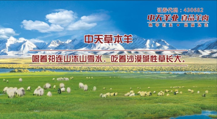 北京羊小咩套现,北京羊小咩套现，从创业到退出的故事