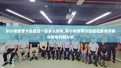 羊小咩便荔卡包提现一般多久到账,羊小咩便荔卡包提现服务详解与到账时间分析