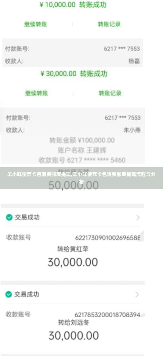 羊小咩便荔卡包消费额度提现,羊小咩便荔卡包消费额度提现流程与分析