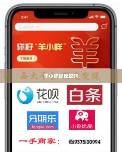 羊小咩怎样提现,羊小咩提现攻略，轻松掌握提现步骤，享受无忧金融体验