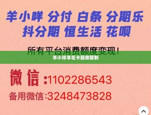 羊小咩享花卡300额度不能提现,羊小咩享花卡300额度限制，消费与提现的双刃剑