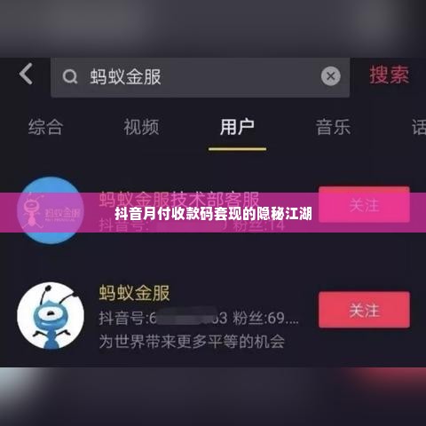 抖音月付收款码套出来,揭秘抖音月付收款码套现的隐秘江湖