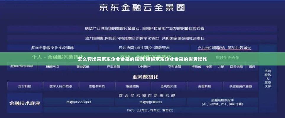 怎么套出来京东企业金采的钱啊,揭秘京东企业金采的财务操作