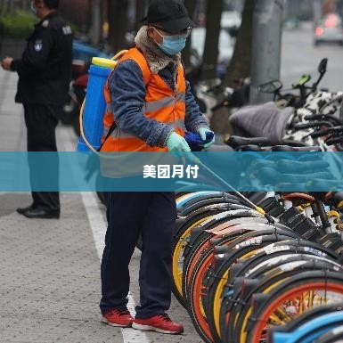 美团月付买什么可以套出来呢安全吗,美团月付，购物与资金周转的便捷选择