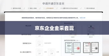 京东企业金采套出来怎么弄的出来呢,揭秘京东企业金采套现的隐秘之道