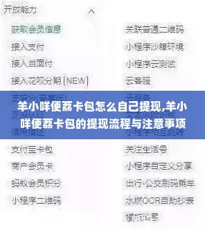 羊小咩便荔卡包怎么自己提现,羊小咩便荔卡包的提现流程与注意事项