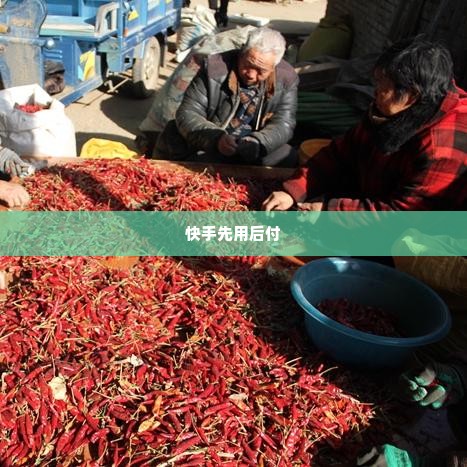 深圳快手先用后付套出来多久到账,深圳快手先用后付套出来多久到账？