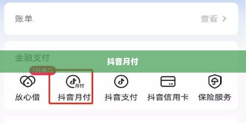 抖音月付可以找商家套出来么,揭秘抖音月付，商家与消费者之间的套现游戏