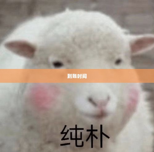 羊小咩提现什么时候到,羊小咩提现到账时间分析
