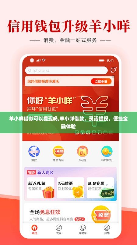 羊小咩借款可以提现吗,羊小咩借款，灵活提现，便捷金融体验